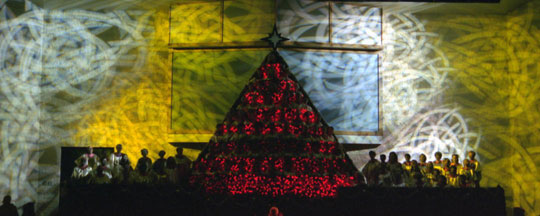 Angels - Yellow and White